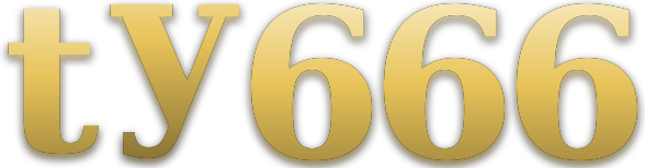 ty666 logo